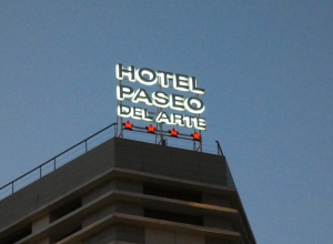 Total luminous signage logo