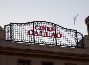 Emblematic luminous signage